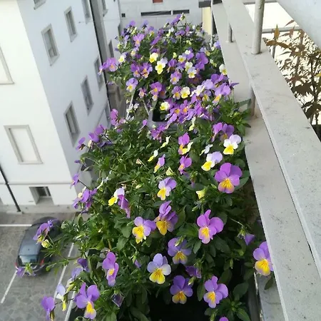 Vittoria 36 Mf Bergamo Appartement *