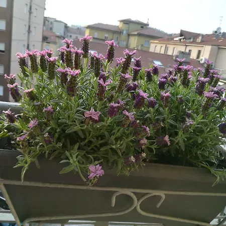 Vittoria 36 Mf Bergamo Appartamento